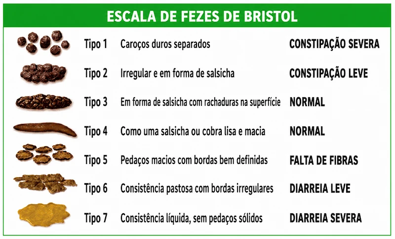 Escala de Bristol — formato e consistência das fezes